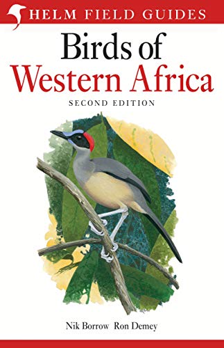 《西非鸟类》的封面