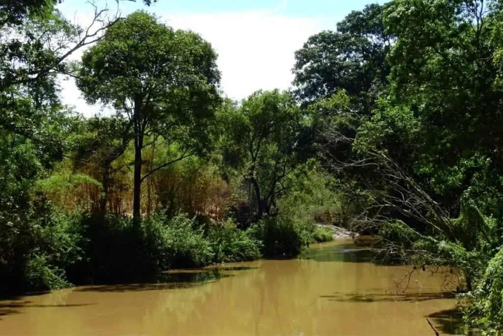 马拉维利隆圭泥泞的林加兹河