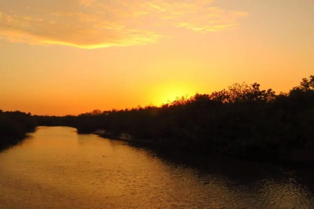 日出在冈比亚的科图溪