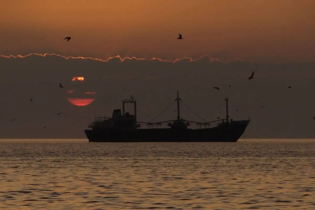 太阳落在一艘渔船后面，头顶上有许多鸟儿在飞翔