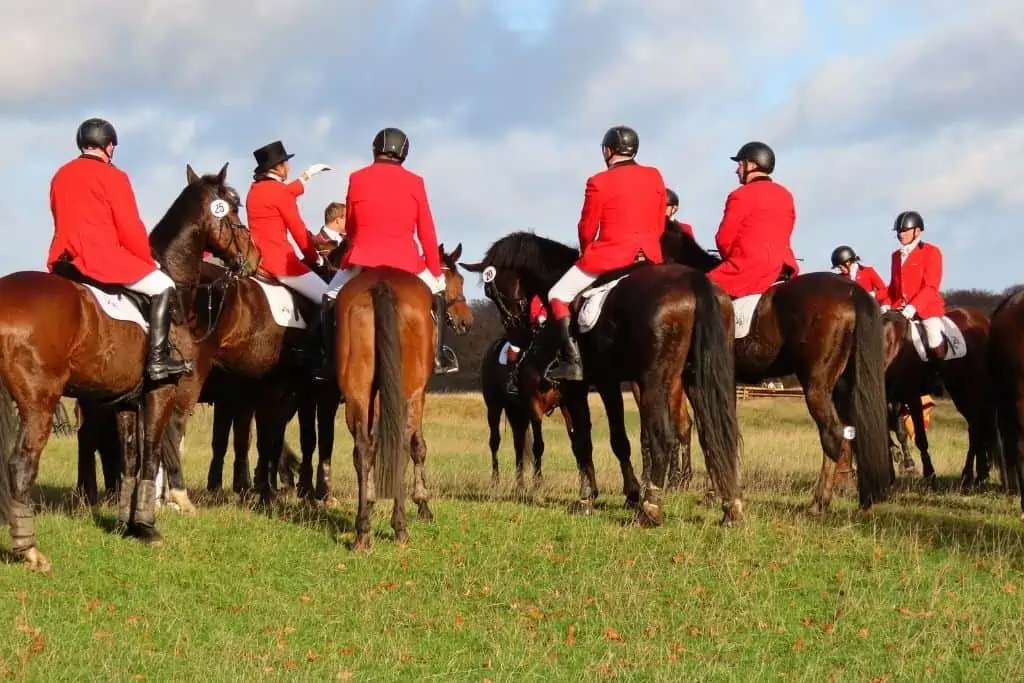 一群穿着鲜红色夹克、白裤子、黑靴子、戴着帽子的骑手们等待着休伯图斯狩猎下半场的开始。