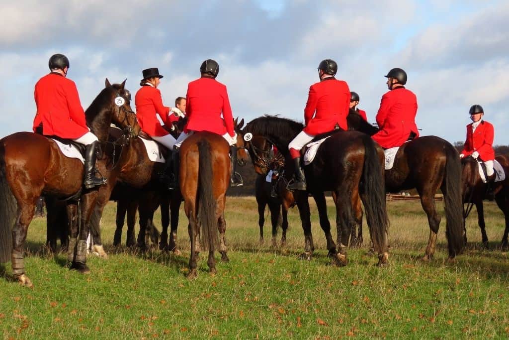 一群身穿红夹克、白裤子、戴黑马帽的骑手。