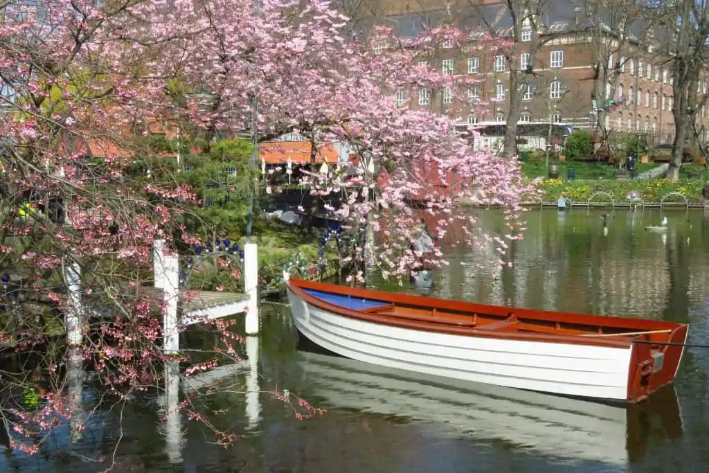 粉红色的樱花悬挂在哥本哈根蒂沃利花园的一艘船和湖上。