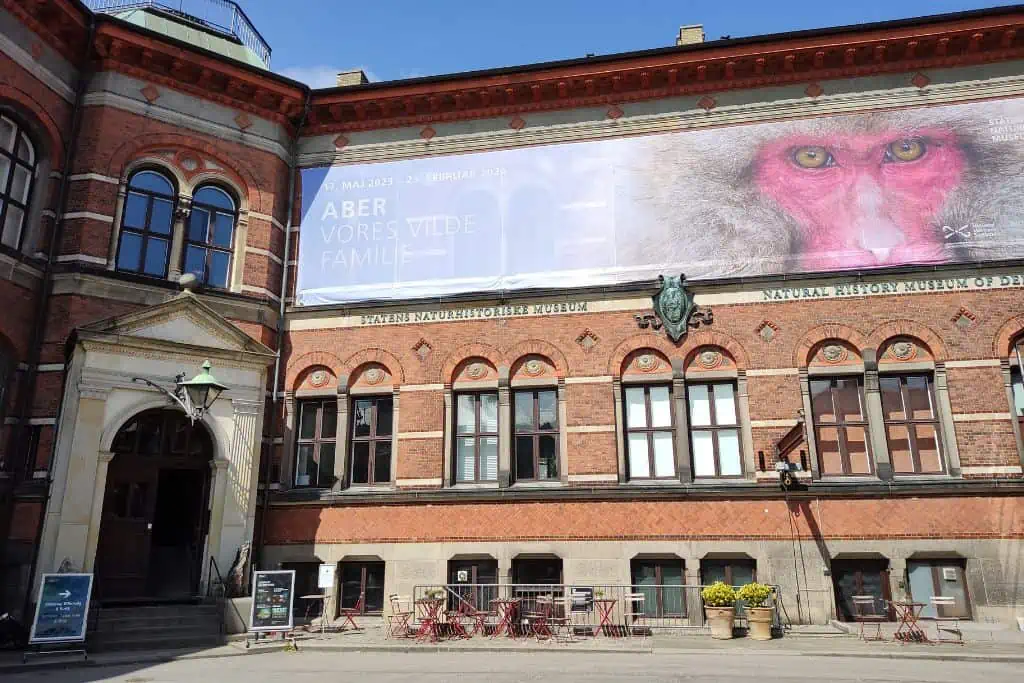 面对丹麦自然历史博物馆的入口处,一个旧砖建筑海报显示日本猕猴满脸通红的照片